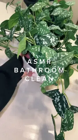 move-out deep clean day 2/3!! 🧼🧼 #asmr #asmrsounds #foryoupage #fyp #satisfying #cleaningtiktok #clean #Home #home #PokemonLegends
