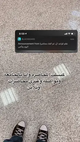 ودي اعلمهم متى يكنسلون المحاضرات #الهاشتاقات_للرخوم #fyp #explor