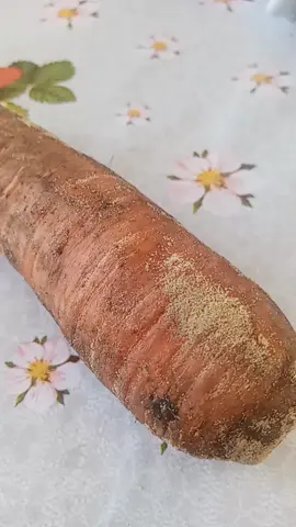 Достали морковь из погреба на салат, а тут она прямым текстом говорит ... #хорошегонастроения #позитив #такое #вр #вреки
