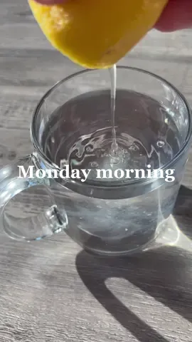 Happy Monday!! #dayinmylife #Vlog #productivity #MomsofTikTok #toddlersoftiktok #foodtiktok #whatieatianday #haul #OOTD #CleanTok