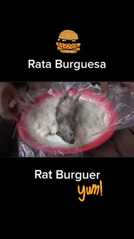 #burguer #rats #rat #foodtiktok  #burguerlovers #rice #eatrice #comidacallejera #comidaconsabor #eat #food #foodrice #viral #fypシ #fyp #eattiktok