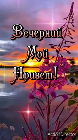 Вечерний привет!