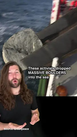 Why are activists dropping huge boulders into the sea? #fyp #foryou #newstiktok #conservation #uknews #activism