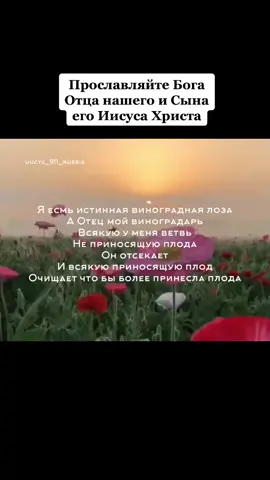 #слава #славабогу #отец #иисусхристос #аминь