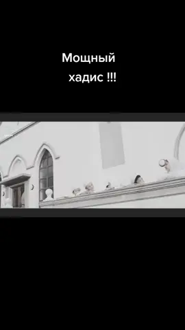 #ислам_религия_мира_добра #хьехам #нохчо #намаз #грозный #всевышний #альхамдулиллах #сунна #таухид #Аллах #мухаммадпророк #вера #ислам #религияислам #мусульмане #мусульманка #мусульманин #аллахуакбар #ИМАН