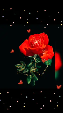 #Доброй ночи#💕💕💕