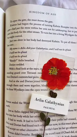 So obsessed with my new bookmark @pagepetal #book #BookTok #bookclub #aelingalathynius #aelinandrowan #celaenasardothien #throneofglass #tog #sjm