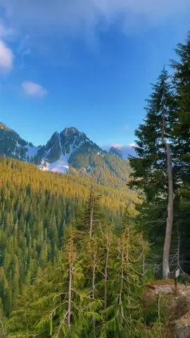 “Between every two pines is a doorway to a new world.” — John Muir #mountrainier #nationalpark #fyp #foryou #pnw #sunset