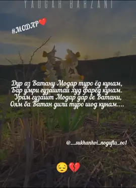 дастгирии шумо пешравии мо#взаимнолайкиподписка #хочуврекомендации #взаимно #рекомендации #хочуврек #happybirthday #happy #админ #душанбесити🇹🇯 #точикистон #топчики #топ #таджикистан