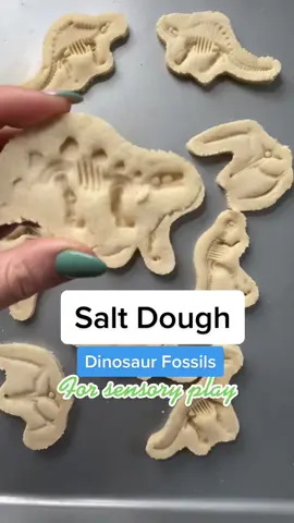 Reply to @itsthesemplelife they’re so easy to make! #saltdough #sensoryplay #learningthroughplay #toddlermom #diyproject #kidscrafts #preschool #dinosaurs