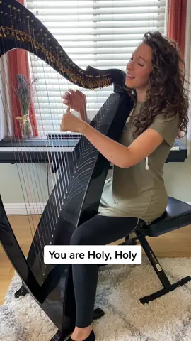 #AgnusDei #michaelwsmith #Worship #Holy #worshipsong #HolySpirit #WorshipLeader #christiansong #christiantiktok #harp #harpist #Jesus #foryoupage #fyp