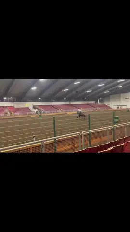 #greenscreenvideo #fyp #foryoupage #horses #horsesoftiktok #horsesontiktok #horsegirl #horse #barrelracer #barrelracing #fypシ #barrelhorse #getthewchallenge #equestrian #quarterhorse #western