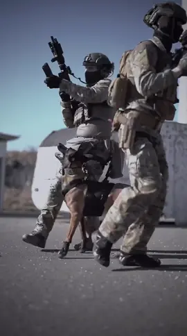 #squad Movements incl MagSwitch with #onetigris MetalHarness @onetigris_official #k9unit #tactical #milsim #DogTraining #obedience #drillteam