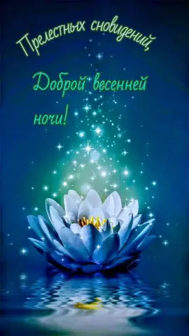 #добройночи