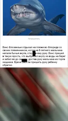 FAKE SITUATION#fake#этоложь