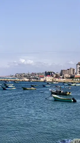 حلوه يا بلدي 🇵🇸💙 #فلسطين #غزه #ميناء_غزه_شاطئ_بحر_غزة #اكسبلور #تصويري #فيديو#fyp