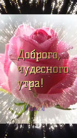 #сдобрымутром #доброеутро #хорошегосегодня