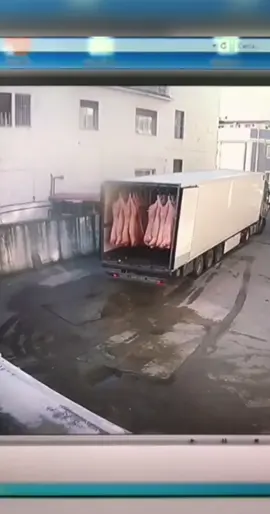 #фура
