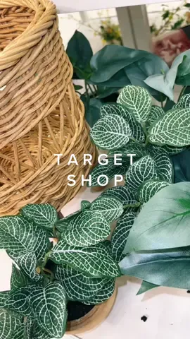 A lil different target shop (wait for the end) #target #targetshop #asmr #satisfying #targetfinds #aesthetic #shopwithme #shopping #decor #organized