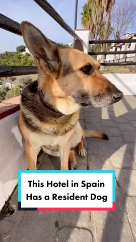 We LOVED our stay at La Posada Morisca! #frigiliana #spaintravel #spain #dogsofttiktok #beautifulhotels