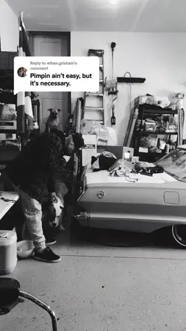 Reply to @ethan.grisham Clean money