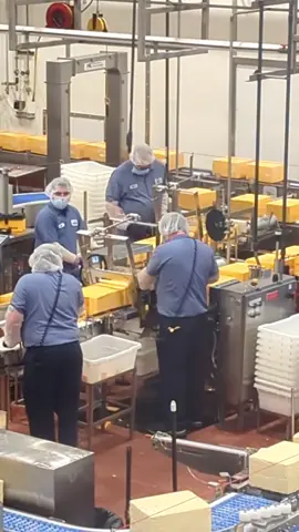 inside of a cheese factory #tillamook #oregon #timelapse #pnw #cheese #fyp #dairy