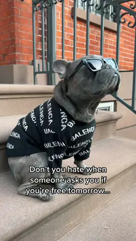 I cost 💰 #CloroxMistChallenge #frenchiesoftiktok #dogsofttiktok #balenciaga