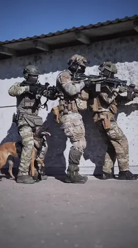 CQB Training in a Squad with K9 and #onetigris #k9officer #malinois #dog @onetigris_official #tactical #milsim #squad