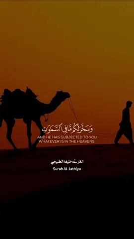 الله الذي سخر لكم البحر | القارئ خليفة الطنيجي، سورة الجاثية #قران #quran #القران_الكريم #القران