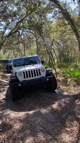 #brymaxadventures #jeepinforjustice #jeep #mud