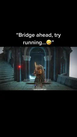 Bridge ahead, try running wow (via r/_koba-yashi_) #eldenring #gaming #xbox #ps5 #fromsoftware