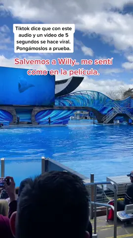 Día en familia en el parque #seaworld #seaworldorlando #orcas #animals #viral #parati #foryou #like