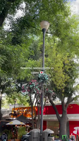 mini foodie guide to mexico city 💌 #cdmx #mexicocity #foodiesoftiktok #recs #travelguide #finedining #rosetta #lardo