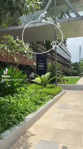 Always looking for a place to study long hours without getting chased out? I got you✊🏼@productivesg #fyp #fypsg #coworkingspace #cafehoggers