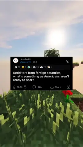 #usa #foreigner #reddit #fyp
