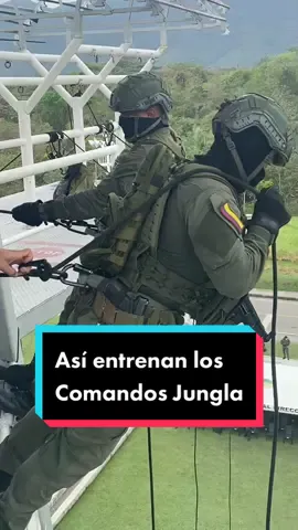 Ellos son #ComandosJungla de nuestra @policiadecolombia . Así es un día de entrenamiento 👆🏻 #AprendeEnTikTok #storytime #policianacionalcolombia #fyp