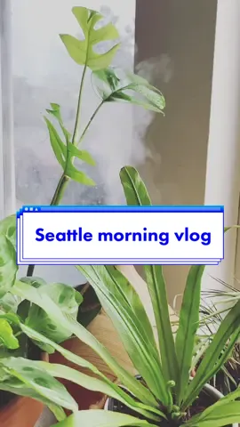 Mornings in my life🌧 #seattlevlog #dayinmylife #seattletiktok #rainydays