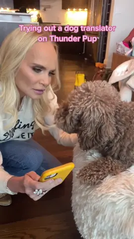 Trying to encourage #ThunderPup to practice better hygiene… not sure if she understood me 🤮 #dogtranslator #dogsofttiktok