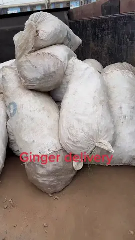Delivery ginger 😁