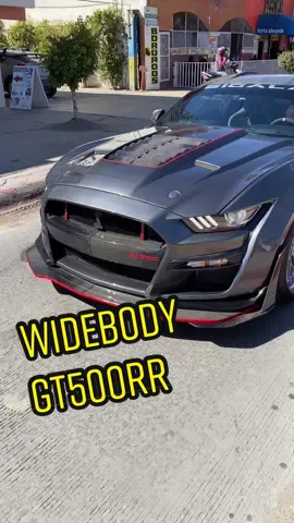 Fully Molded Widebody Shelby GT500RR by Sigala Designs Owner:@svtevil #sigaladesigns #cartiktok #widebody #gt500