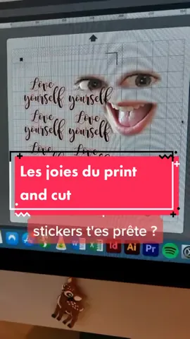 Ha les joies du print and cut #cameo4 #silhouette #printandcut #printandcutstickers #machinededecoupe #decalage