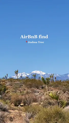 Book with @_hyggehomerentals 🤍 #laurensandiego#sandiego#joshuatree#joshuatreetrip#roadtrip#californialife#california#desert#desertvibes#joshuatreeairbnb