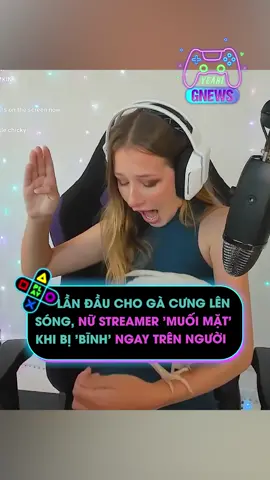 Lần đầu cho gà cưng lên sóng, nữ streamer 'muối mặt' khi bị 'bĩnh' ngay trên người#yeah1digital #yeah1gnews #yeah1 #tiktoknews #onhavanvui #onhaxemtin