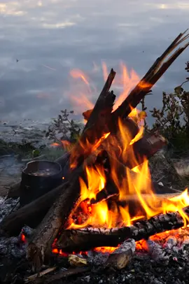 Firewood is burning and the sound of a burning fire is heard #rec #recommendations #nature #fire #campfire #camping #relax #meditation #calm #asmr