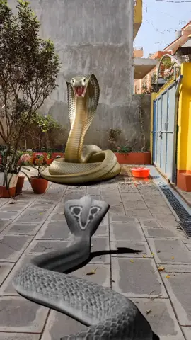 viral content 😂 #fypシ #foryou #foryoupage #trending #goviral #tiktok #nagnagin