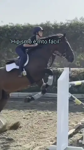 #cavalosminhapaixao #hipismo #fypage #foryou #showjumping #horses #fyyyyyyyyyyyyyyyy #foryoupage #fyp #fypシ #foryoupage #viral #fyyyyyyyyyy