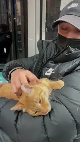 My favorite cat guy 🐈❤️