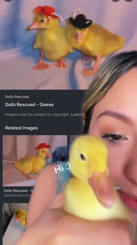 #ad WE must get her a hat 🤠  #duck #fyp