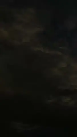 #abuyauciturtusi