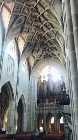 Münster cathedral in Bern, Switzerland 🖤#switzerland #bern #cathedral #organ #music #church #munstercathedral